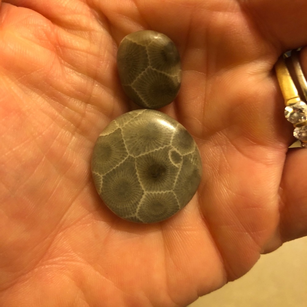 Meet your Posher, Jessa